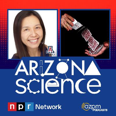 How magic tricks can help us understand how our brains work
