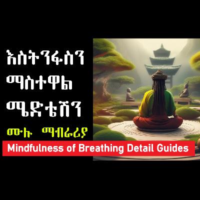 የእስትንፋስን ማስተዋል ሜድቴሽን ዝርዝር መመሪያ የእስትንፋስን ማስተዋል ሜድቴሽን ዝርዝር መመሪያ