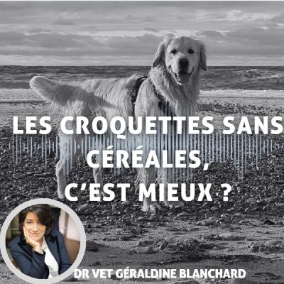 Idée reçue : Le sans céréales, c'est mieux : mais pourquoi est-ce mieux ?
