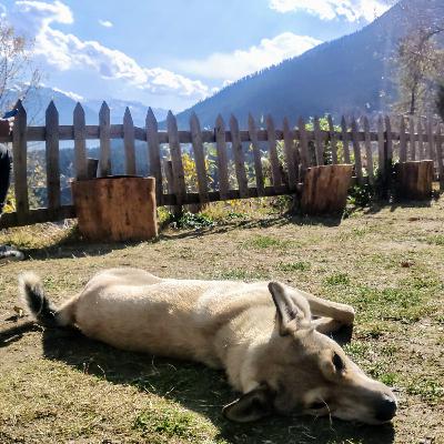 Living in Himalayas: Episode 3 - Wake n Bake Living in Himalayas: Episode 3 - Wake n Bake