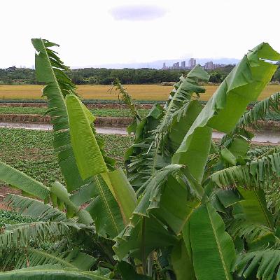 F09_天堂就在此時此地2_1140520