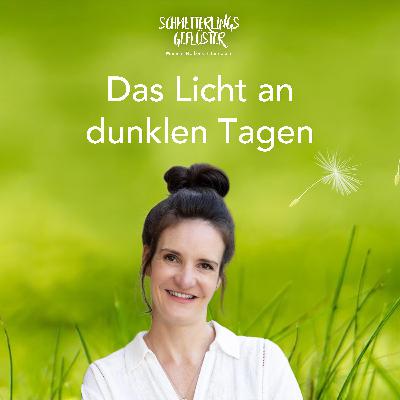 Das Licht an dunklen Tagen Das Licht an dunklen Tagen