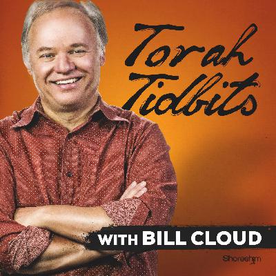 Torah Tidbit: B’shelach – “Consider the Lilies”