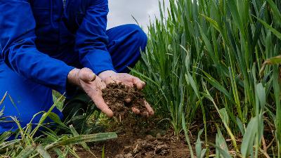 The European Commissioner for the Environment Jessika Roswall is in County Kildare today