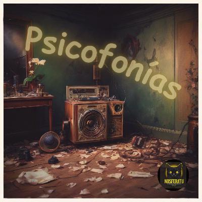 Psicofonías: enigma sonoro