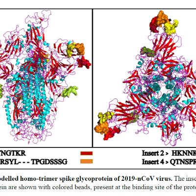 Base de datos del NCBI confirma origen del SARS-CoV-2 Base de datos del NCBI confirma origen del SARS-CoV-2