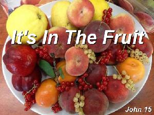 It's In The Fruit