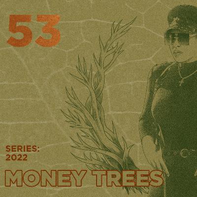 Money Trees #53 - Blk Orchid Money Trees #53 - Blk Orchid