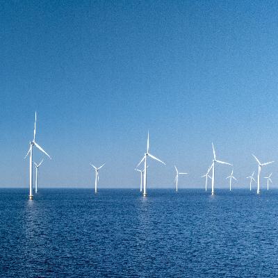 "Der Bau von Offshore-Windparks rechnet sich nicht mehr" - Karina Würtz (Stiftung Offshore)