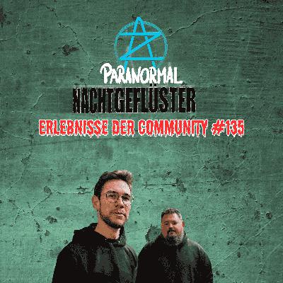 Nachtgeflüster #135 - Erlebnisse der Community