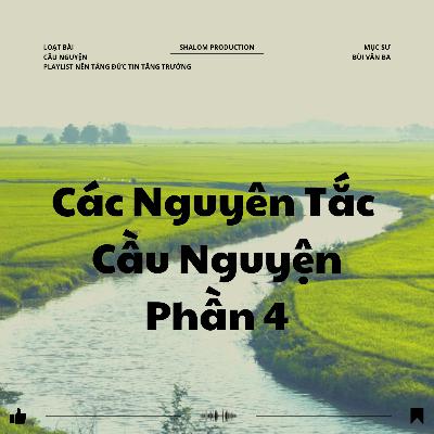 Bài 14: CÁC NGUYÊN TẮC CẦU NGUYỆN - P. 4 | CẦU NGUYỆN || MSB