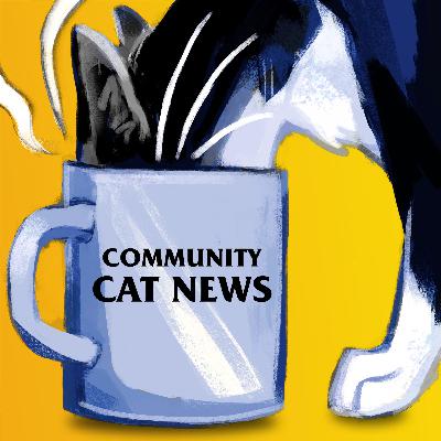 Mittens on the Mic | Boo & Snickers