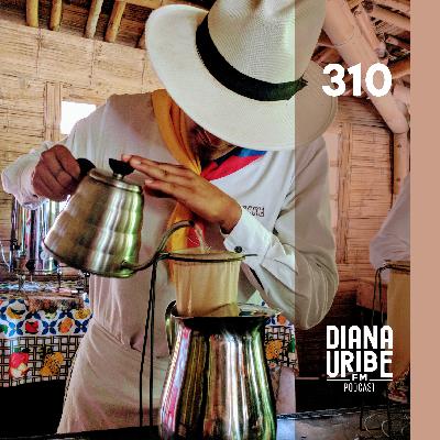 Historia del Café III: Colombia, un país cafetero 🇨🇴