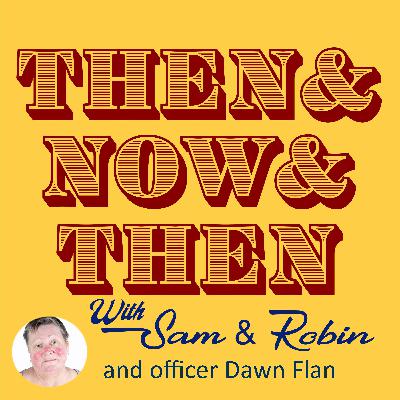 Mini Episode #3: Correctional Officer Dawn Flan Mini Episode #3: Correctional Officer Dawn Flan