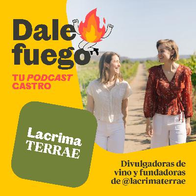 #04 Lacrima Terrae - Cómo contar todo lo que necesitas conocer para disfrutar del vino