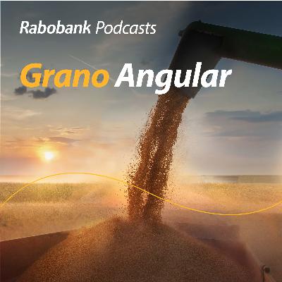 Soya con preocupaciones en EE.UU.. Lácteos y más pecuarios Soya con preocupaciones en EE.UU.. Lácteos y más pecuarios