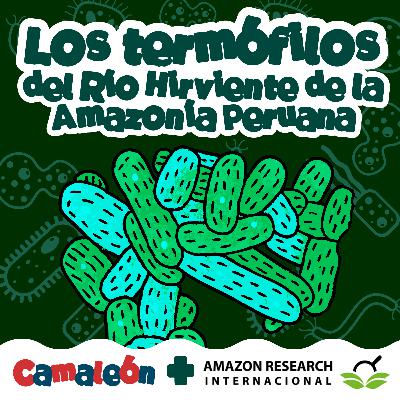 Termófilos: los microbios que aman el calor