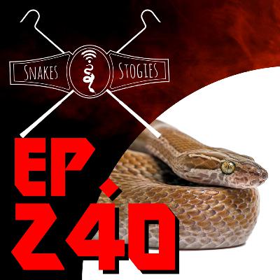 House Snakes & More w/ Jayd Lawrence | Snakes & Stogies Ep. 240