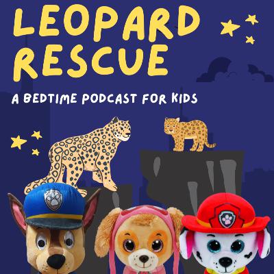 Leopard Rescue Leopard Rescue