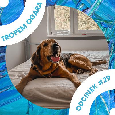 #29 Przeprowadzka z psem, który nie lubi zmian