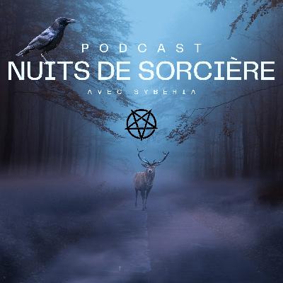 Nuits de Sorcière 1 : La Sorcellerie c'est quoi ? Un Survol Général