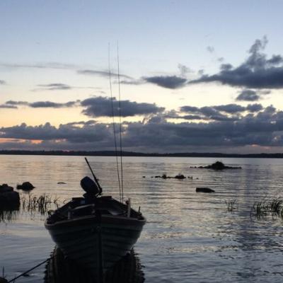 La mise à jour hebdo de la pêche à la ligne Irlandaise, 30 Mai 2025
