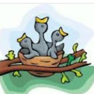 La extraña Pajarería.                  Docente Neibys Quintero.               INSTEGUA