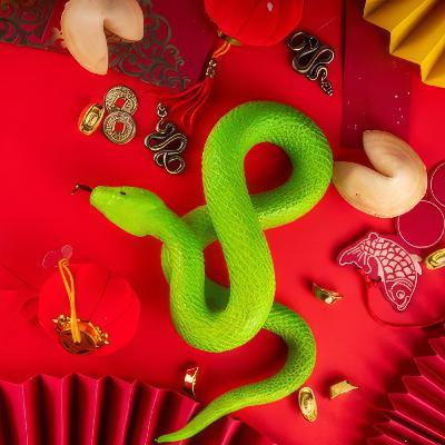 Year of the Wood Snake