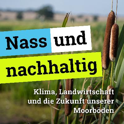 #4: Vom Moor zum Markt – Welche Produkte aus Moorbiomasse entstehen können #4: Vom Moor zum Markt – Welche Produkte aus Moorbiomasse entstehen können