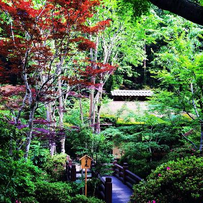 日経平均【やはり来年は本当のバブルに?!来年の前半にバブルへ】 from Radiotalk 日経平均【やはり来年は本当のバブルに?!来年の前半にバブルへ】 from Radiotalk