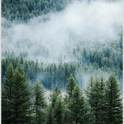 一个人应该活的是自己并且干净