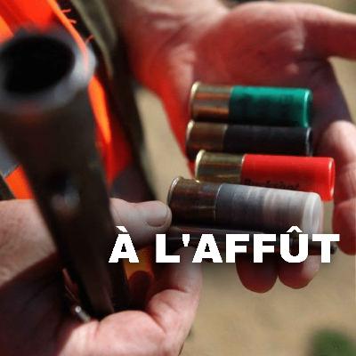 Fichier Nationale des personnes Interdites d'Acquisition et de Détention d'Armes: Comment être fiché?