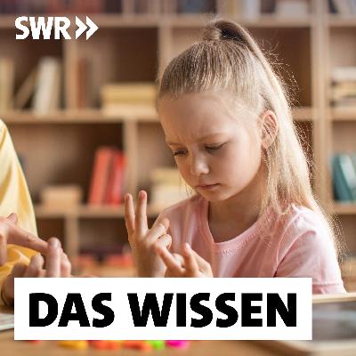 Dyskalkulie – Qualen mit Zahlen