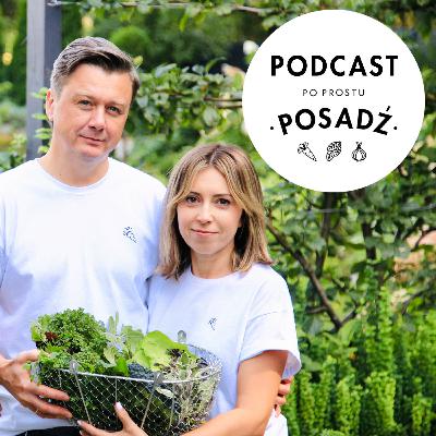 S4E13 Prace w ogrodzie w lipcu i sierpniu