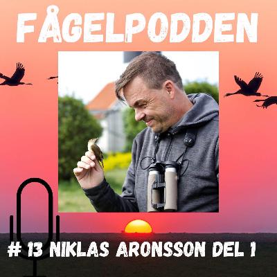 Niklas Aronsson Del 1