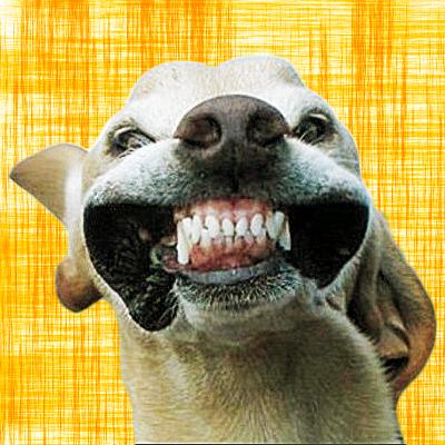 Lo exponencial que crece al carajo Lo exponencial que crece al carajo