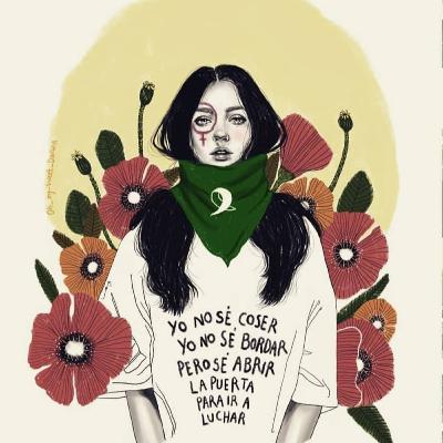 HABLEMOS DE FEMINISMO Y SUS DEBILIDADES