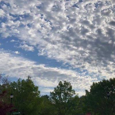 Trailer for Leadership Podcast, Reach & Thrive Together