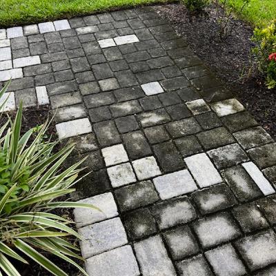 Why Your Cape Coral Sidewalks Turn Black — And How to Fix It Safely