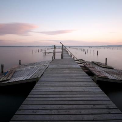 14: Vom öffentlichen Gebrauch der Vernunft