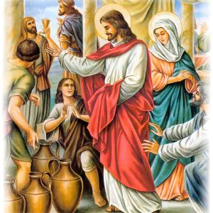 Homily Jan 20 2019 The Servants knew