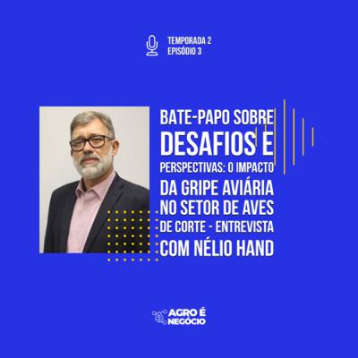 Agro é Negócio - O impacto da gripe aviária no setor de aves de corte, entrevista com Nélio Hand Agro é Negócio - O impacto da gripe aviária no setor de aves de corte, entrevista com Nélio Hand