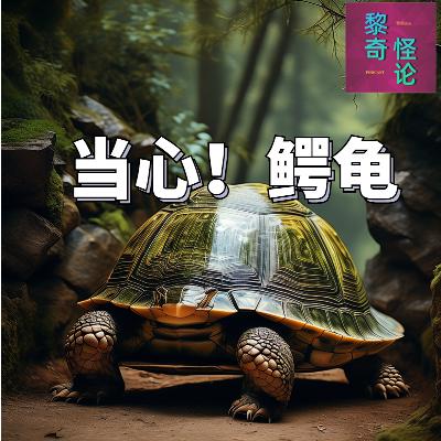 小心,这类龟可不一般!当我们见到这只外来物种该怎么办? 小心,这类龟可不一般!当我们见到这只外来物种该怎么办?