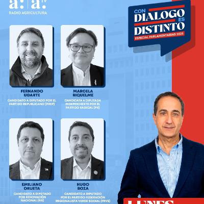 CDED Especial Parlamentarias 2025 | Distrito 15: Propuestas para la Región de O’Higgins