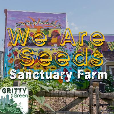 Gritty and Green: We are Seeds Sanctuary Farm