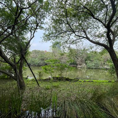 EP207 你可知道里山里海?/ 從山林到家之間的林園療癒 EP207 你可知道里山里海?/ 從山林到家之間的林園療癒