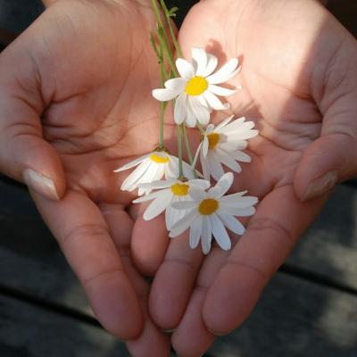 The Direct Mind - Abundance | S2 Ep2