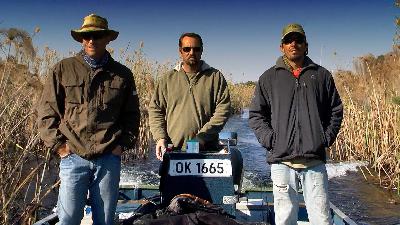 Croc swims into underwater 'tree' Croc swims into underwater 'tree'