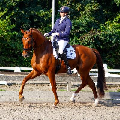 1. BWR Dressuurproeven Podcast: wat helpt om een prestatie neer te zetten?