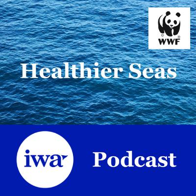Healthier Seas - with WWF Cymru